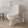 Унитаз-компакт (Gesso) Меркурий Премиум 2 HOME De Luxe микролиф кнопка, нижн.подвод, косой выпуск